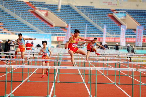 体育最新爆料2023,年度焦点事件大盘点